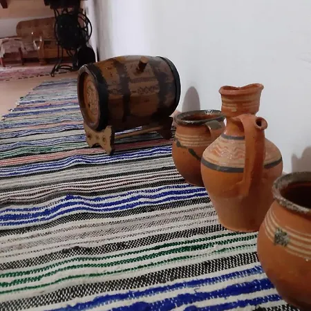 Guest house Casa Izbuc